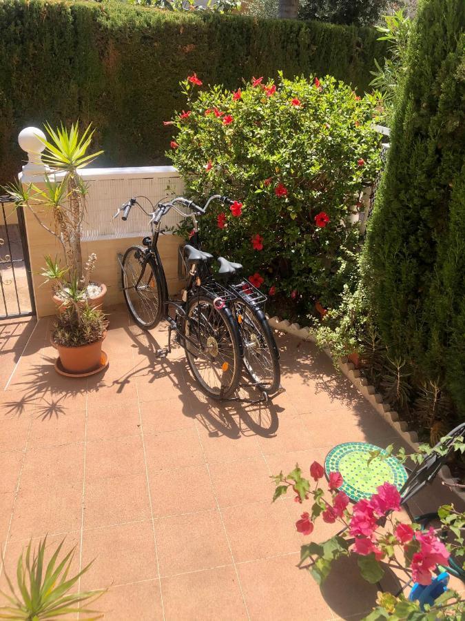 Villas Don Quijote Punta Prima  Dış mekan fotoğraf